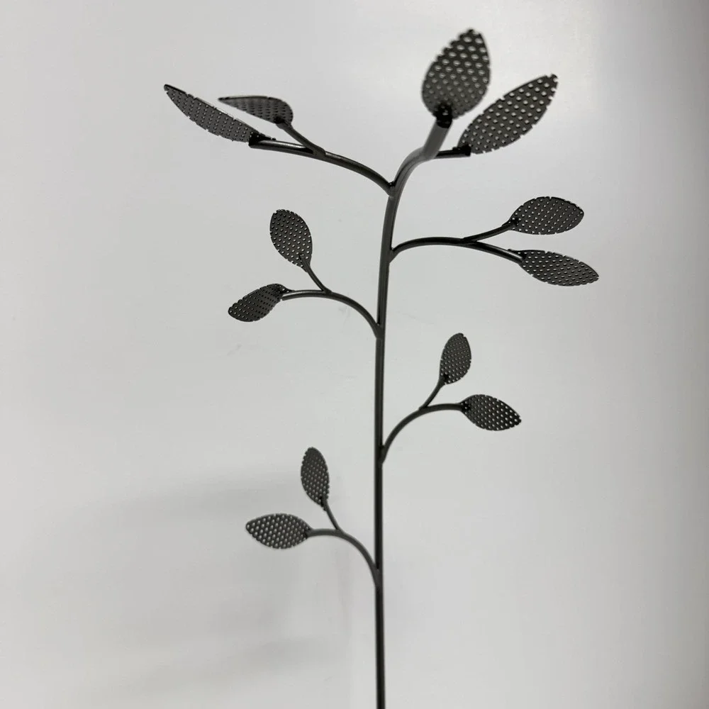 Umbra this orchid
